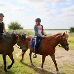 Bauernhof Wulff - 