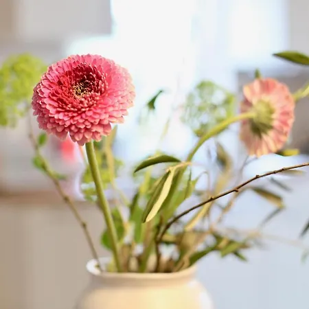 Daire Bauernhof Wulff - 