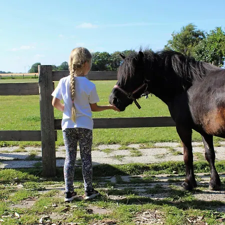 Daire Bauernhof Wulff - 