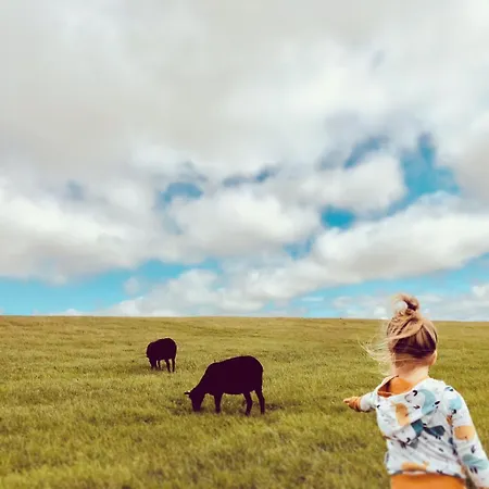 Daire Bauernhof Wulff - 