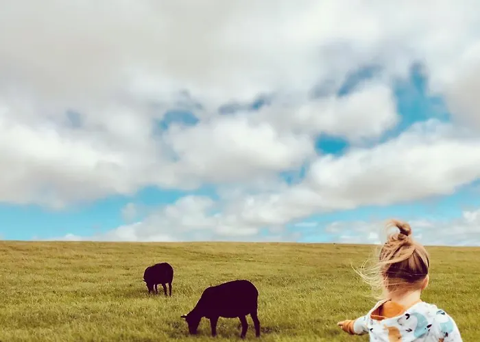 Appartamento Bauernhof Wulff - 